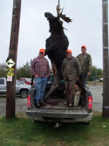 Maine Moose Hunting