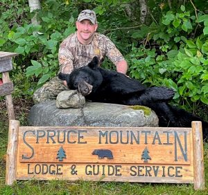 maine black bear hunting www.sprucemtn.com